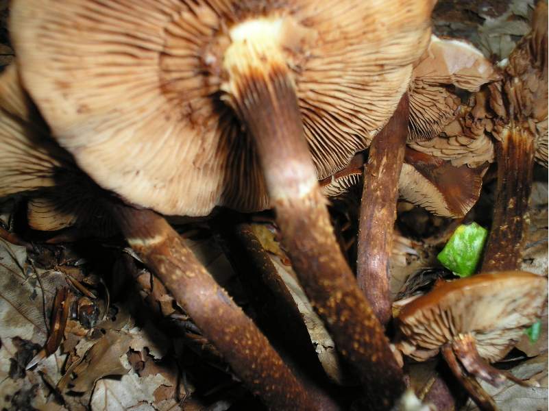 grazie allo sciopero....